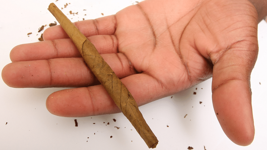 Expertly rolled cannabis blunt on a wooden background